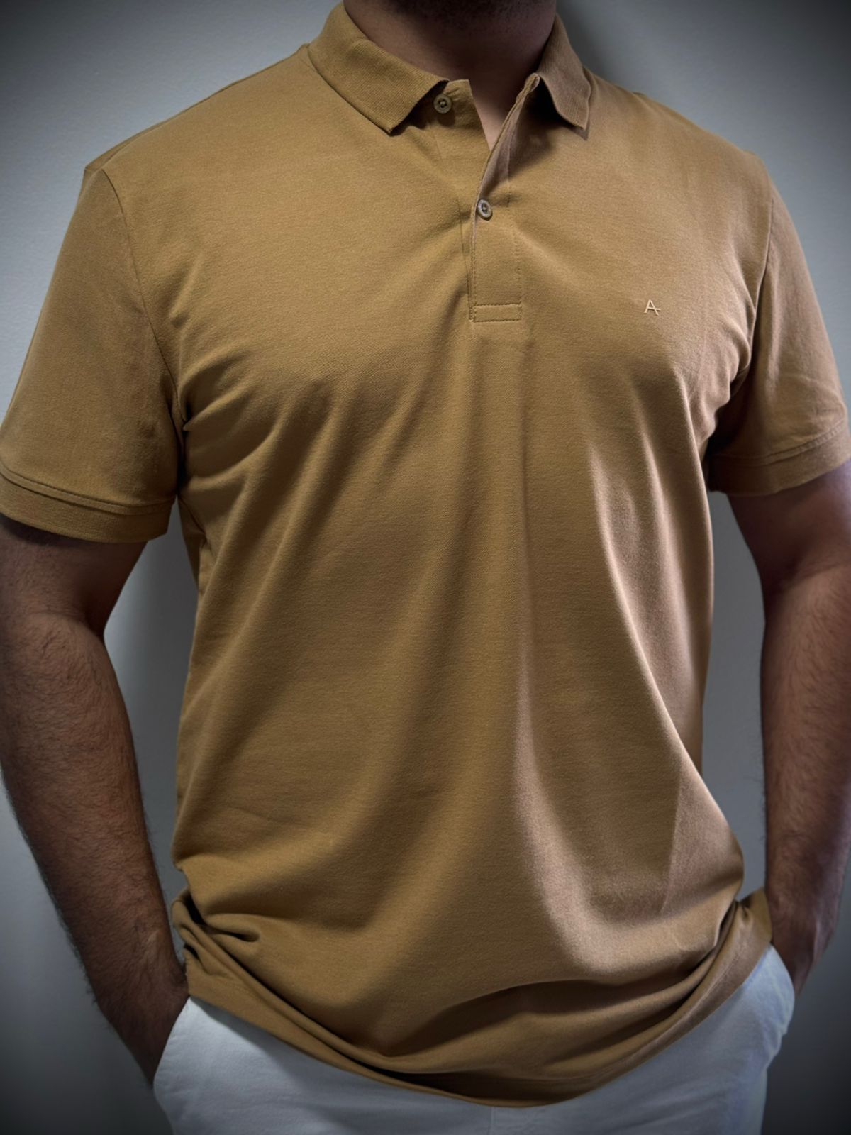 Polo Premium Arams - Bege Escuro - 03800 - Conceito 62