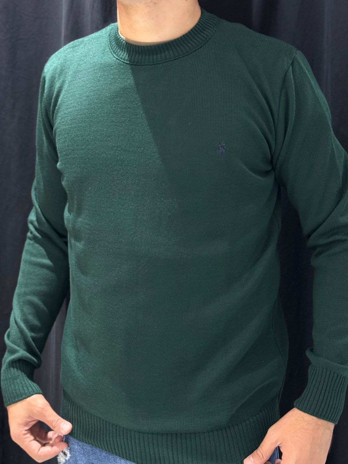 Suéter Premium Ralph - Verde - 04497 - Conceito 62