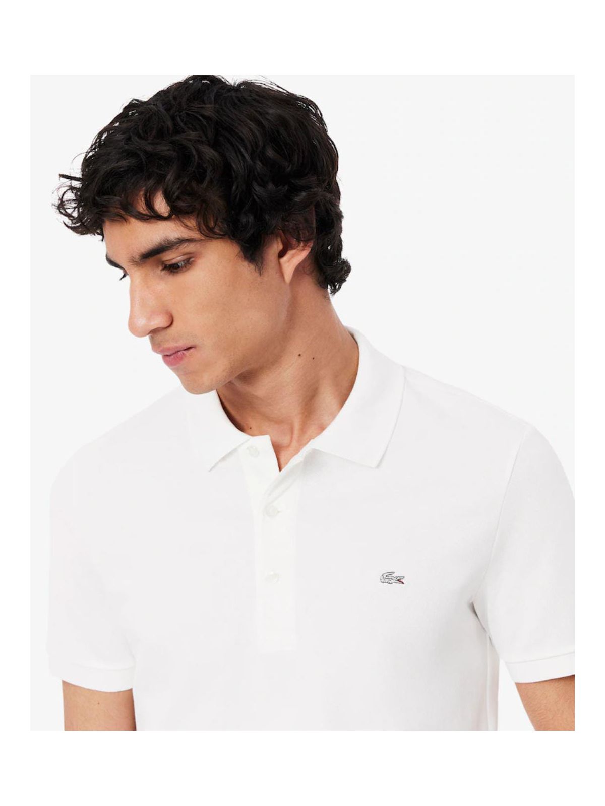 Gola Polo Lacoste - Original - SP GRIFES - Camisetas Importadas no Atacado
