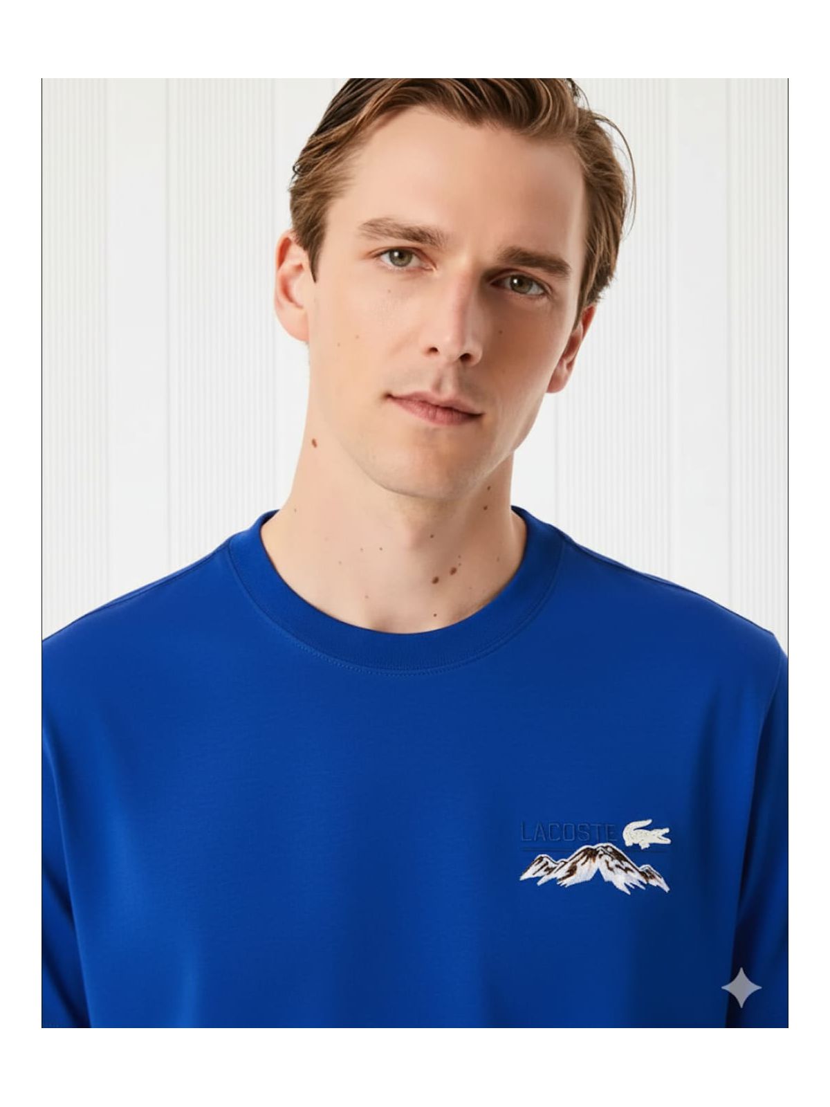 Camiseta Lacoste - Azul - SP GRIFES - Camisetas Importadas no Atacado