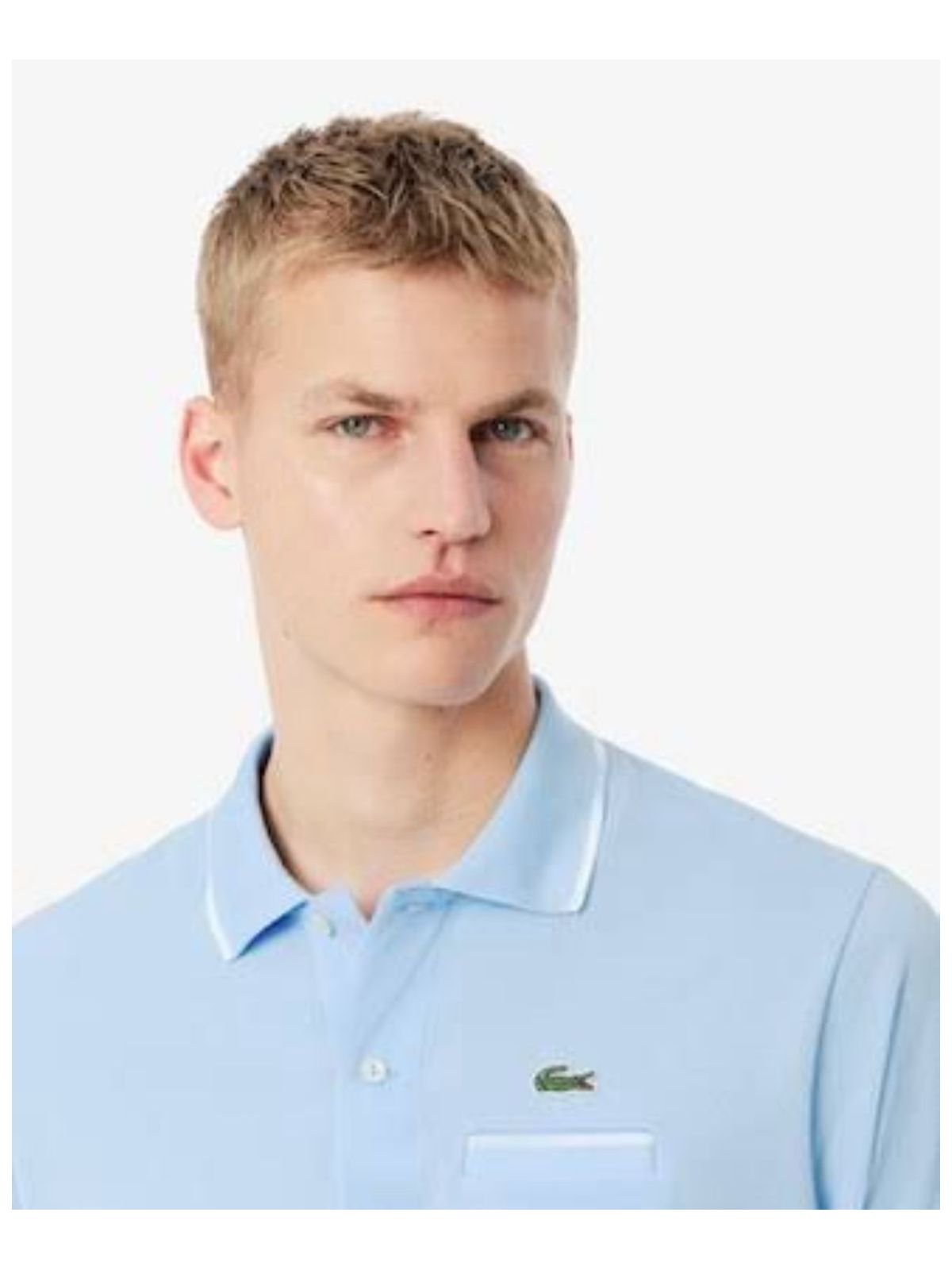 Gola Polo Lacoste Diferenciada - Original - SP GRIFES - Camisetas Importadas no Atacado