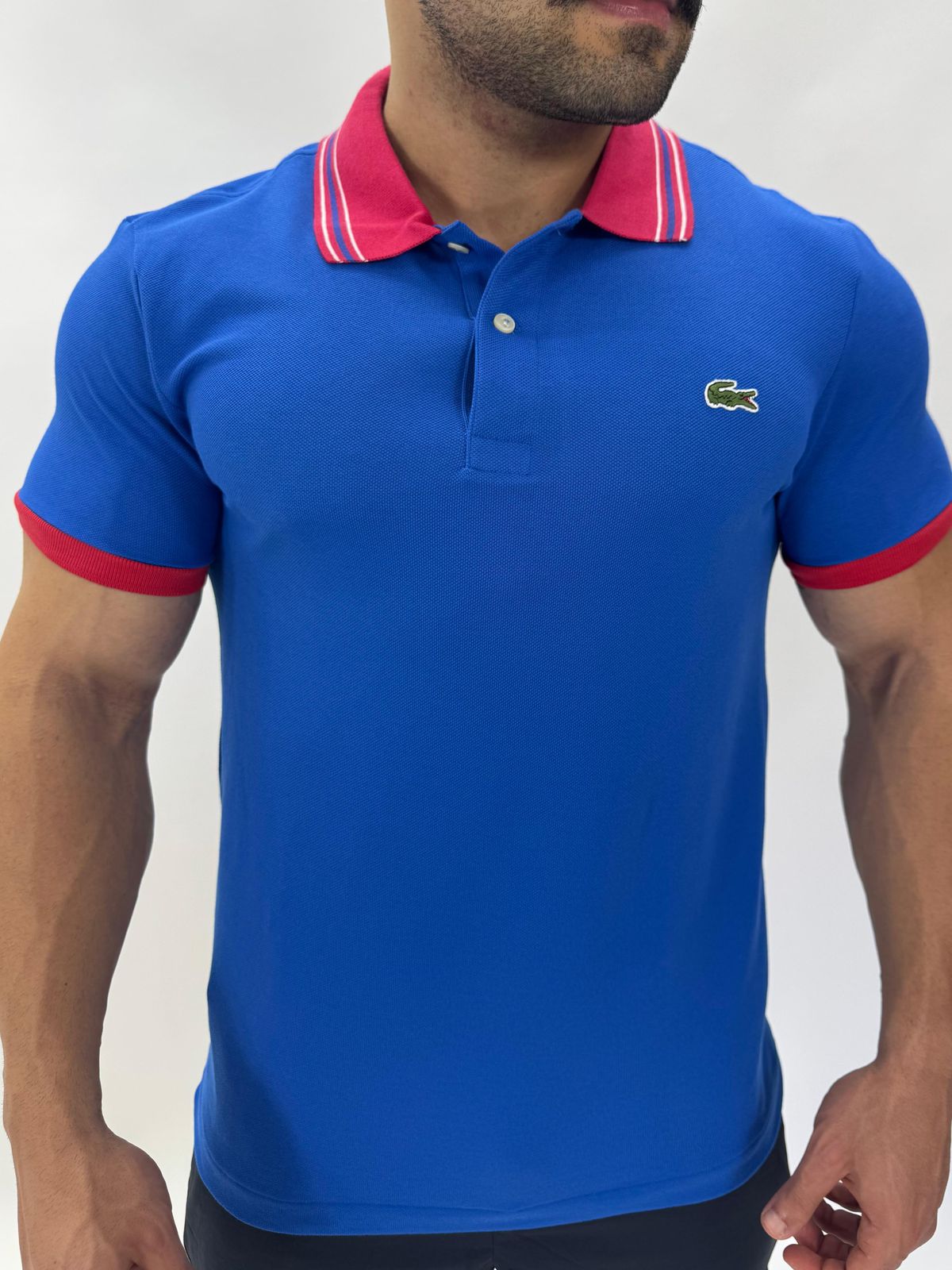 Gola Polo Lacoste Diferenciada Importada - Royal c... - SP GRIFES - Camisetas Importadas no Atacado