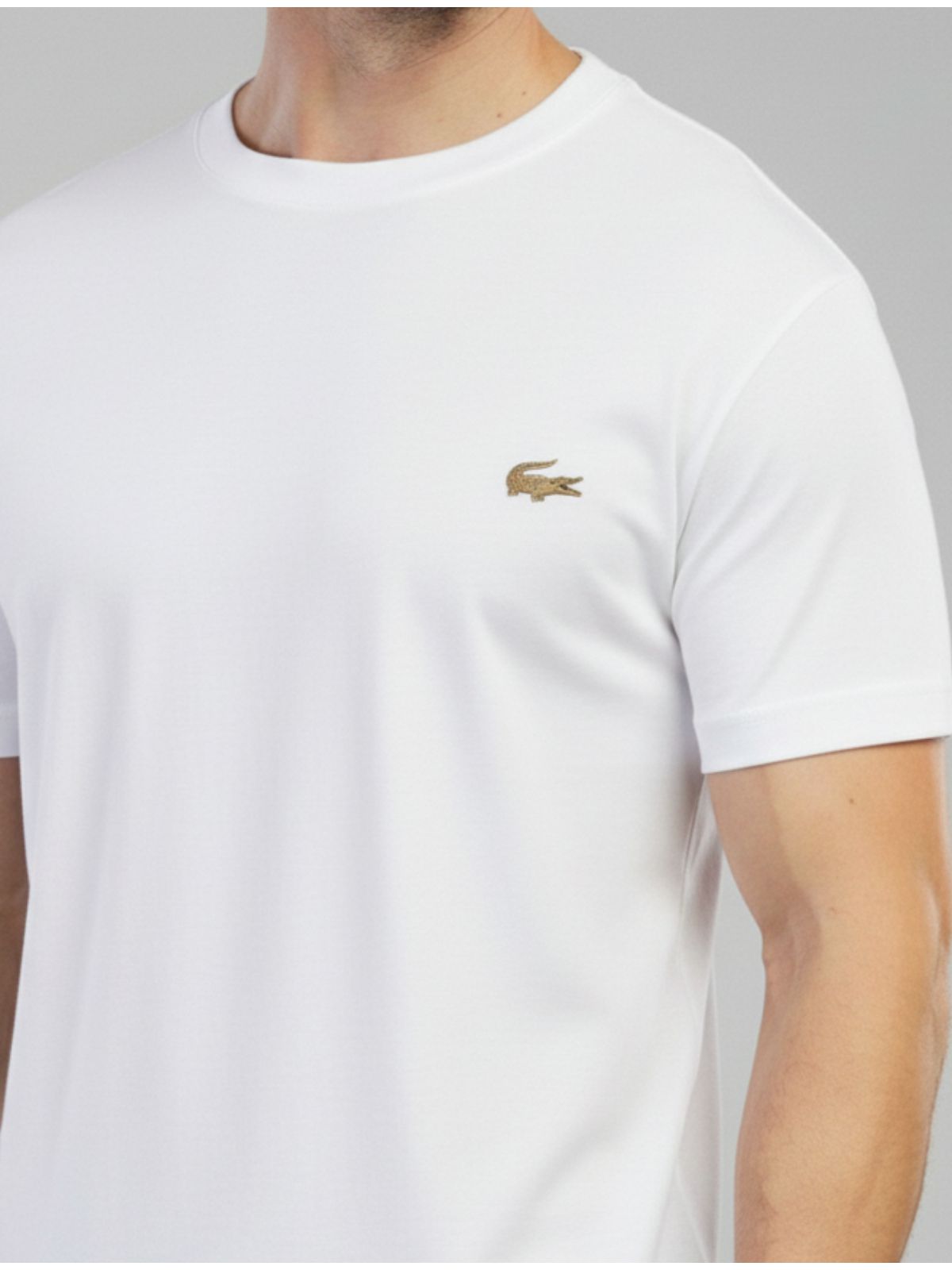 Camiseta Lacoste logo diferenciada - Egípcia Branc... - SP GRIFES - Camisetas Importadas no Atacado