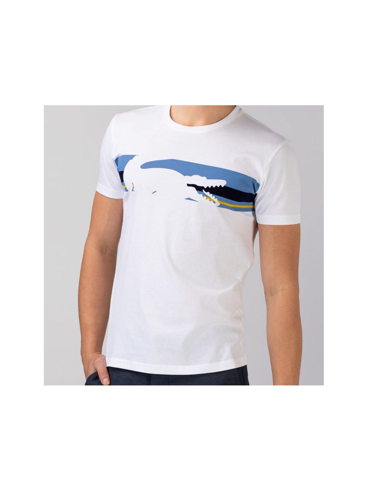 Camiseta Lacoste - SP GRIFES - Camisetas Importadas no Atacado