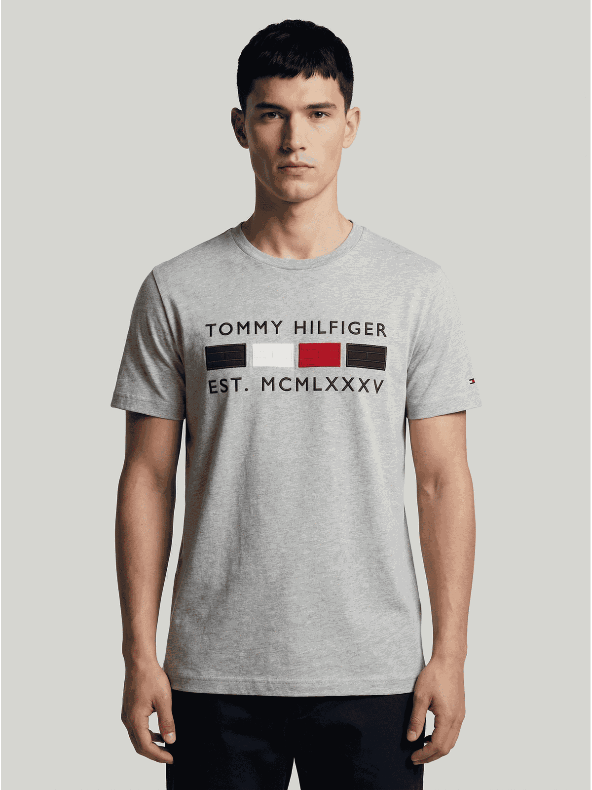 Camiseta Tommy Hilfiger - SP GRIFES - Camisetas Importadas no Atacado