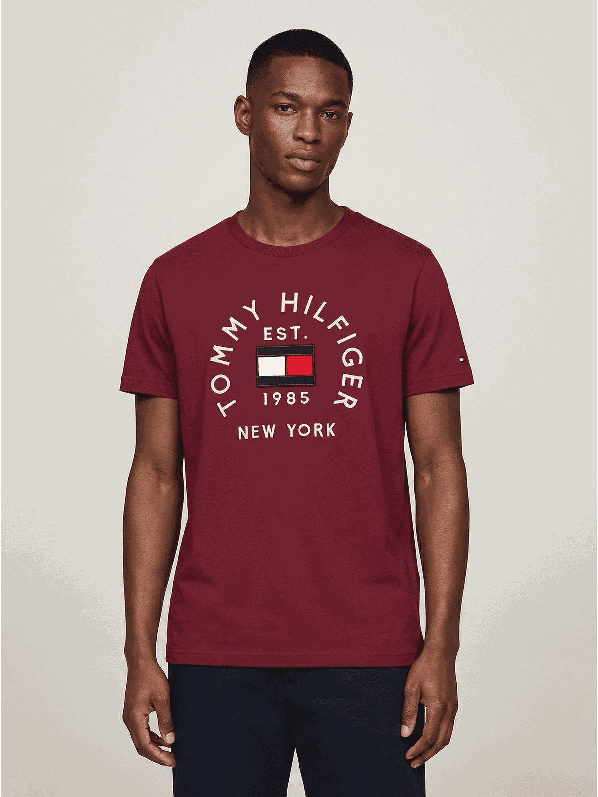 Camiseta Tommy Hilfiger - SP GRIFES - Camisetas Importadas no Atacado