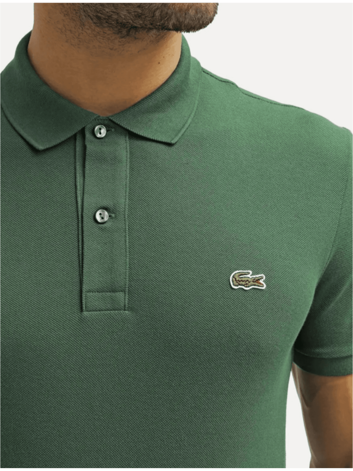 Gola Polo Lacoste Original Importada - VERDE MUSGO - SP GRIFES - Camisetas Importadas no Atacado