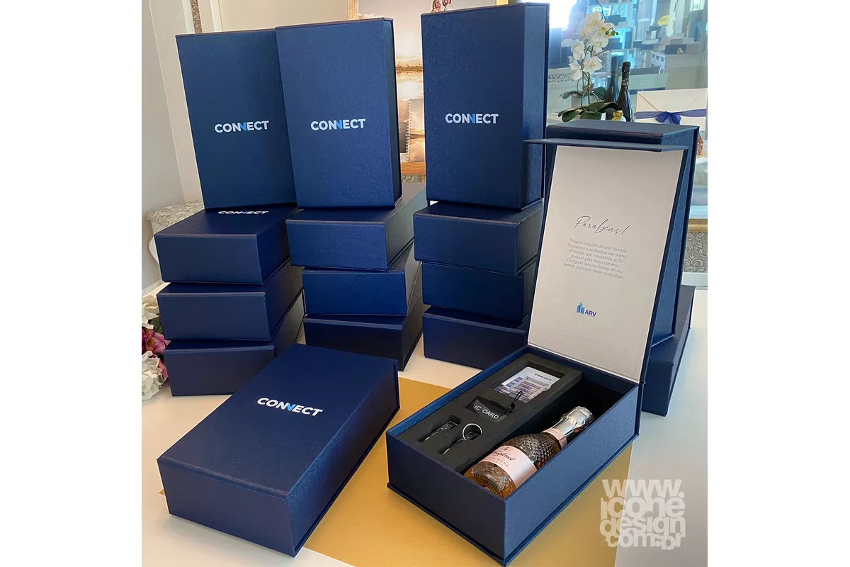 Caixa Empresarial - ARV Connect | Ícone Design