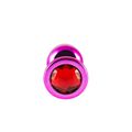 Plug de Metal G Com Pedra Variadas Hard (HA171) - Rosa