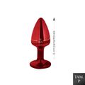 Plug de Metal P Signos Aquário (HA162AQ) - Vermelho