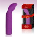 *Vibrador Ponto G Tammy VP (PG007-14314) - Lilás