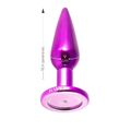 Plug Metálico Slim Personalitté Com Duas Pedras (HA188) - Lilás