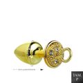 Kit Algema e Plug Cravejado P (HA146) - Dourado
