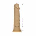 Prótese 18x13cm Simples Mydick (PA016) - Bege