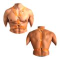 *Harness Peitoral (GS101703) - Laranja
