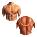 *Harness Peitoral (GS101703) - Laranja