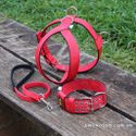 Kit Tradicional Amorosso ( Peitoral + Coleira + Guia ) (vermelho e preto)
