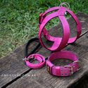 Kit Tradicional Amorosso (Peitoral + Coleira + Guia) (Pink e preto)