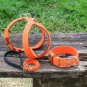 Kit Tradicional Amorosso (laranja e preto) (Peitoral + Coleira + Guia)
