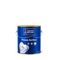 Massa Acrílica 6kg Sherwin Williams
