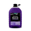 Sanitizante Bom Ar 5L Vonixx