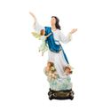 Imagem Resina - Nossa Senhora da Assunção 20 cm