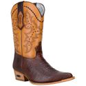 Texana Anaconda Country Western De Bico Fino Masculina