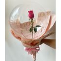 Rosa no Bubble