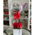 Rosas e Bubble