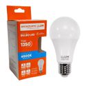 Lâmpada Led Bulbo 15W E-27 6500K Branco Frio Bivolt