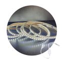Mangueira Led Chata Branco Frio 6500k 10m 220v + Conector