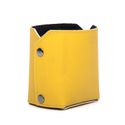 Porta Lapis Amarelo