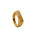 Anel Maite- banho ouro 18k