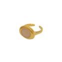 Anel Organic Regulável- banho ouro 18k