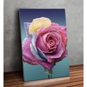 Placa MDF Decorativo Tema Manicure