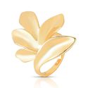 Anel Nature Charm 
