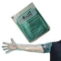 Luva Fortes PEBD Cano Longo - 25 unid - Para Inseminação Artificial