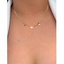 conjunto de borboletas liso