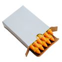 Caixa Giz para Marcação Amarelo 110x12mm com 12 Unidades FNT-1018 Fiontar