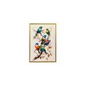 Quadro 45x30 Passaros