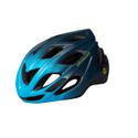 Capacete Chamonix Mips Cinza Gelo