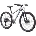 Bicicleta Rockhopper Expert 29 2021 Prata Holográfico Tam-M