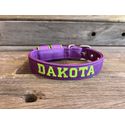 COLEIRA BABY PERSONALIZADA 3cm roxa com nome em verde fluorescente