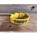 COLEIRA BABY PERSONALIZADA 3cm amarela com nome em preto