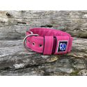 COLEIRA LISA 5cm pink