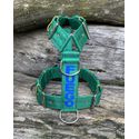 Peitoral universal personalizado poliéster premium verde bandeira com nome em azul bic