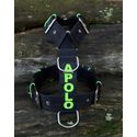 Peitoral universal personalizado poliéster premium preto com nome em verde fluorescente