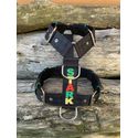 Peitoral universal personalizado poliéster premium preto com nome nas cores do reggae