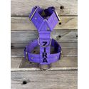 Peitoral universal personalizado poliéster comum roxo com nome em preto