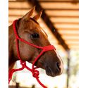 CABRESTO BOOTS HORSE - COM CABO TRANCADO DE PARACORD - VERMELHO